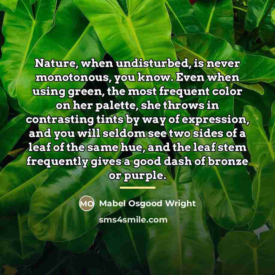 “Nature, when undisturbed, is never monotonous, you know. Even when…” quote by Mabel Osgood Wright