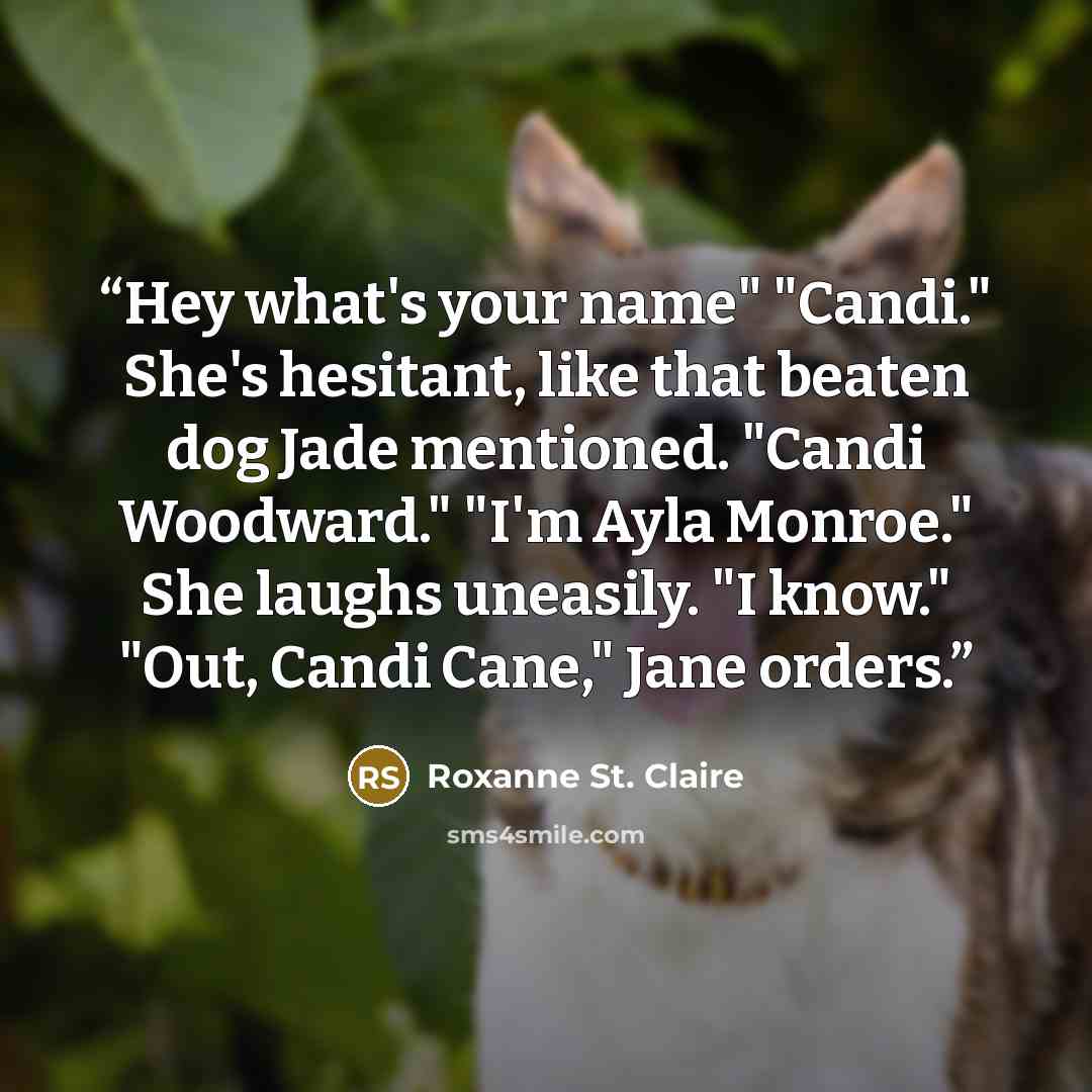 “Hey what's your name" "Candi." She's hesitant, like that beaten dog Jade mentioned. "Candi Woodward." "I'm Ayla Monroe." She laughs uneasily. "I know." "Out, Candi Cane," Jane orders.” quote by Roxanne St. Claire
