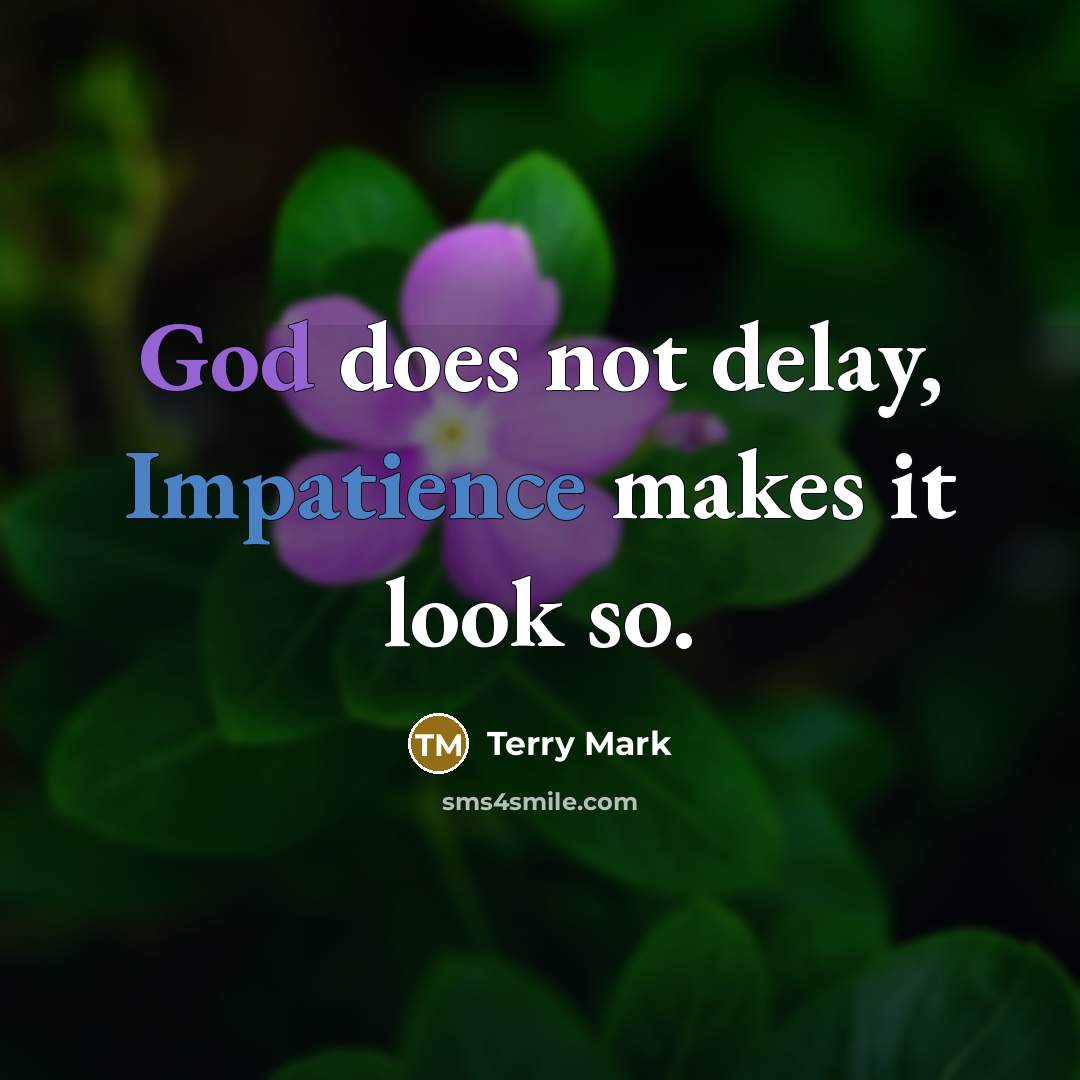 “God does not delay, Impatience makes it look so.” quote by Terry Mark