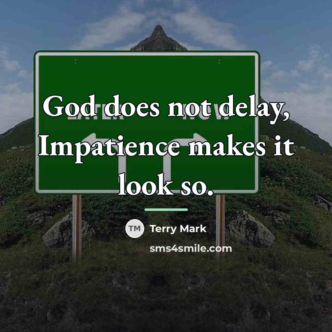 “God does not delay, Impatience makes it look so.…” quote by Terry Mark