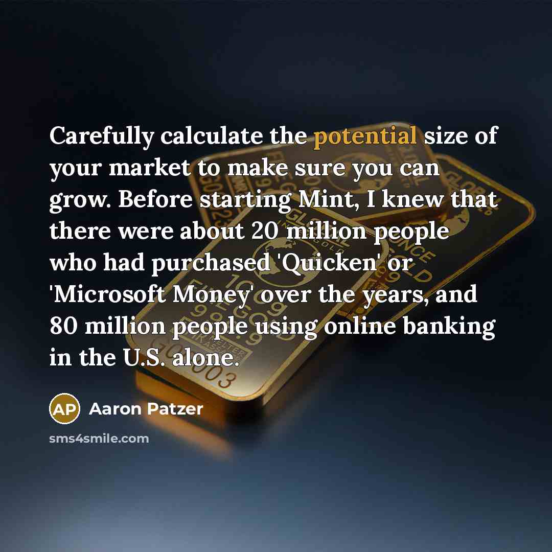“Carefully calculate the potential size of your market to make…” quote by Aaron Patzer