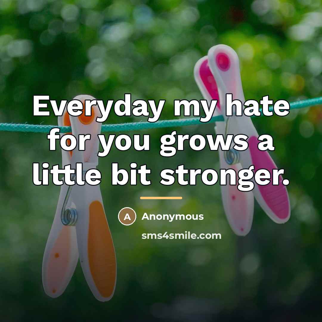 “Everyday my hate for you grows a little bit stronger.…” quote by Anonymous