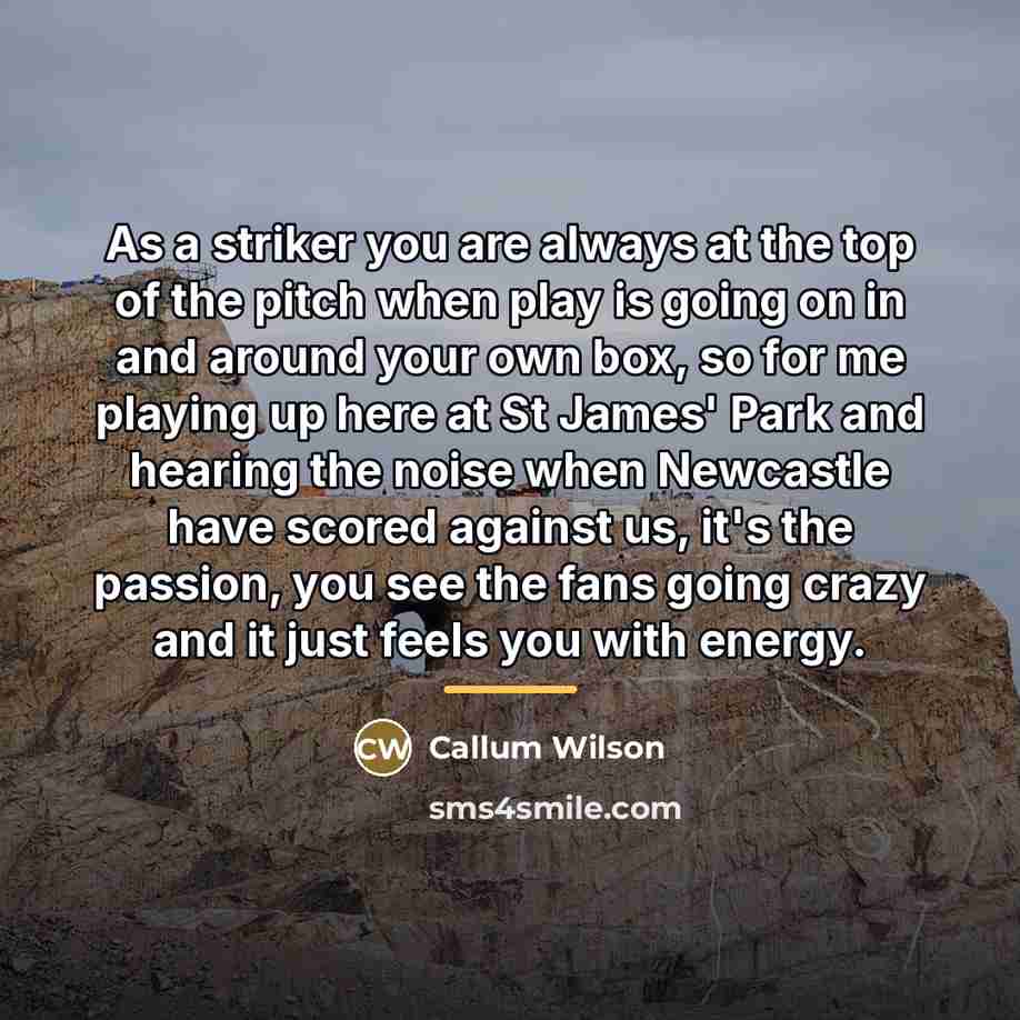 “As a striker you are always at the top of…” quote by Callum Wilson