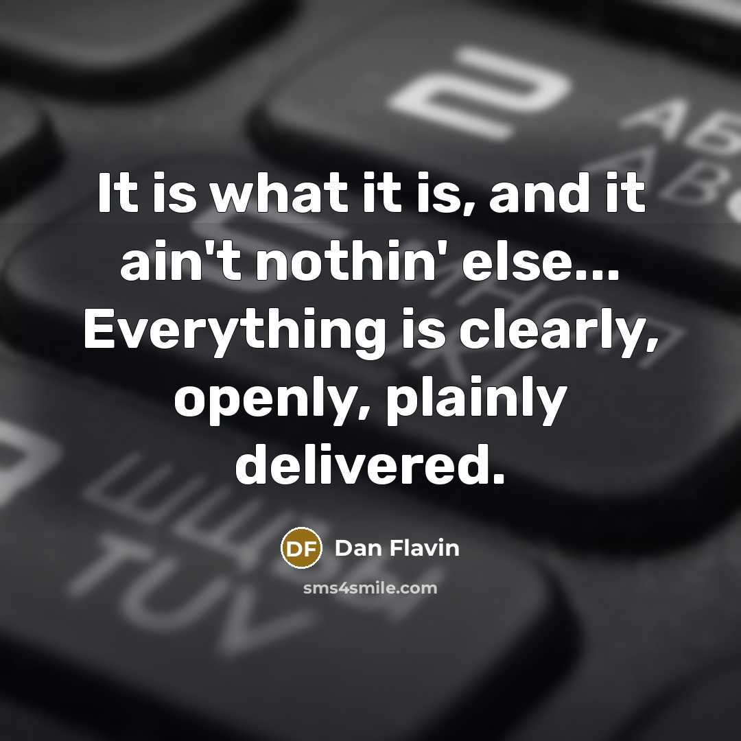 “It is what it is, and it ain't nothin' else... Everything is clearly, openly, plainly delivered.” quote by Dan Flavin