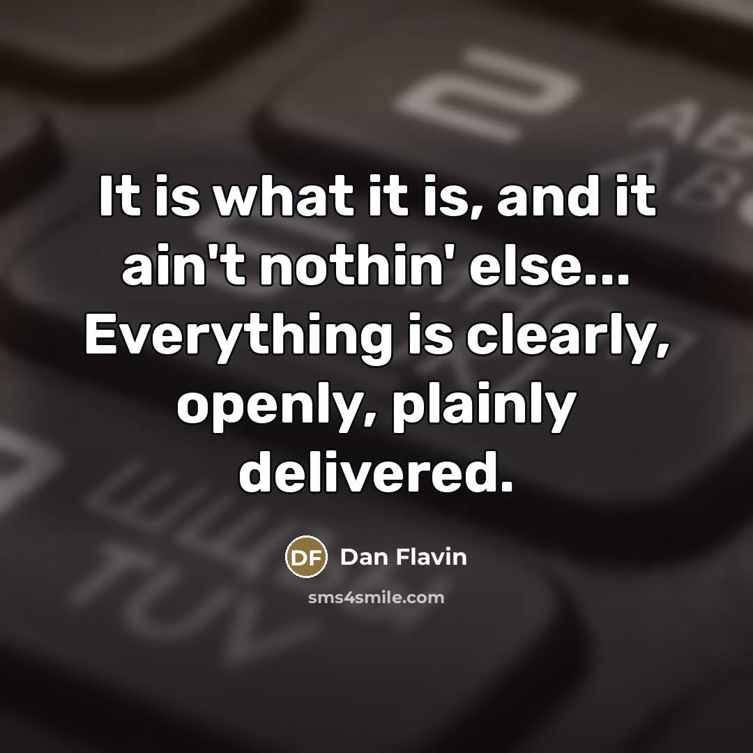 “It is what it is, and it ain't nothin' else...…” quote by Dan Flavin