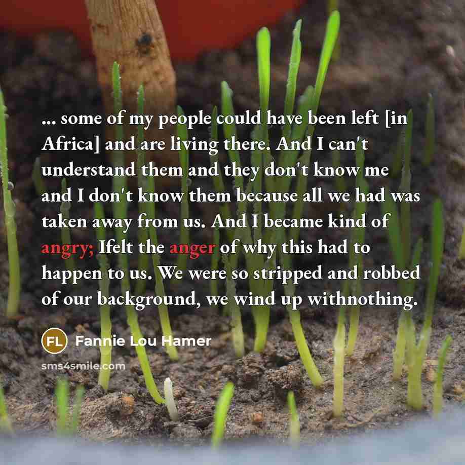“... some of my people could have been left [in Africa] and are living there. And I can't understand them and they don't know me and I don't know them because all we had was taken away from us. And I became kind of angry; Ifelt the anger of why this had to happen to us. We were so stripped and…” quote by Fannie Lou Hamer
