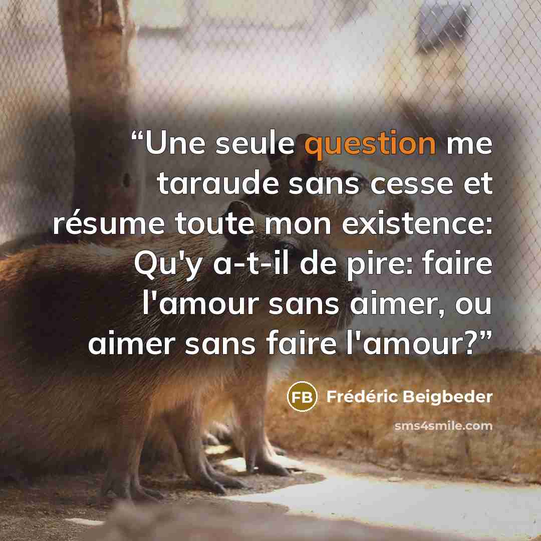 “Une seule question me taraude sans cesse et résume toute mon existence: Qu'y a-t-il de pire: faire l'amour sans aimer, ou aimer sans faire l'amour?” quote by Frédéric Beigbeder