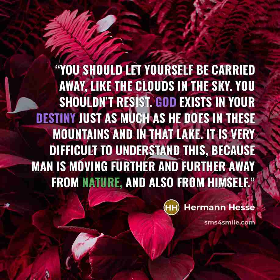 “You should let yourself be carried away, like the clouds in the sky. You shouldn’t resist. God exists in your destiny just as much as he does in these mountains and in that lake. It is very difficult to understand this, because man is moving further and further away from Nature, and also from…” quote by Hermann Hesse