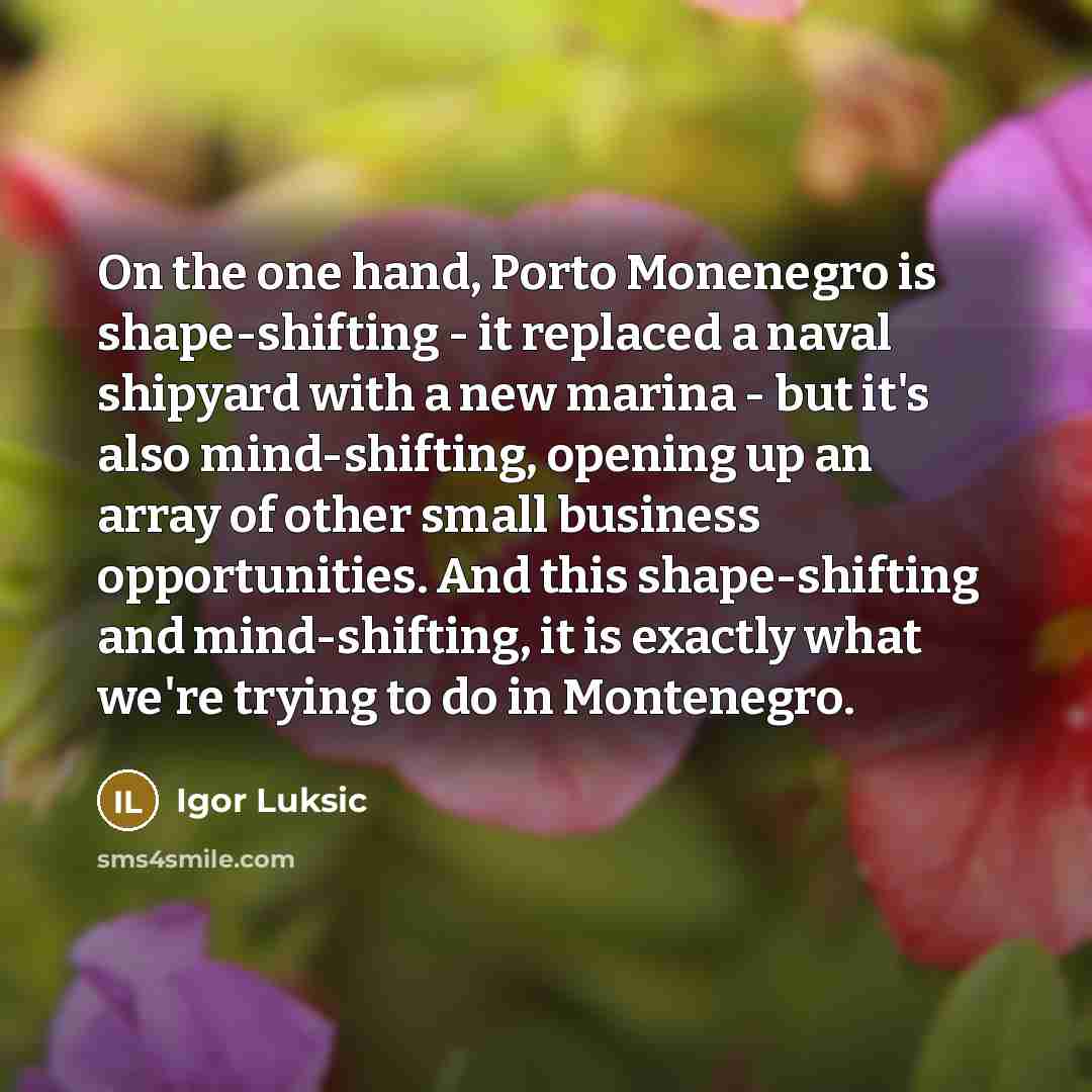 “On the one hand, Porto Monenegro is shape-shifting - it…” quote by Igor Luksic