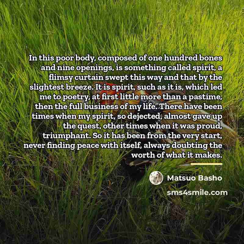 “In this poor body, composed of one hundred bones and…” quote by Matsuo Basho