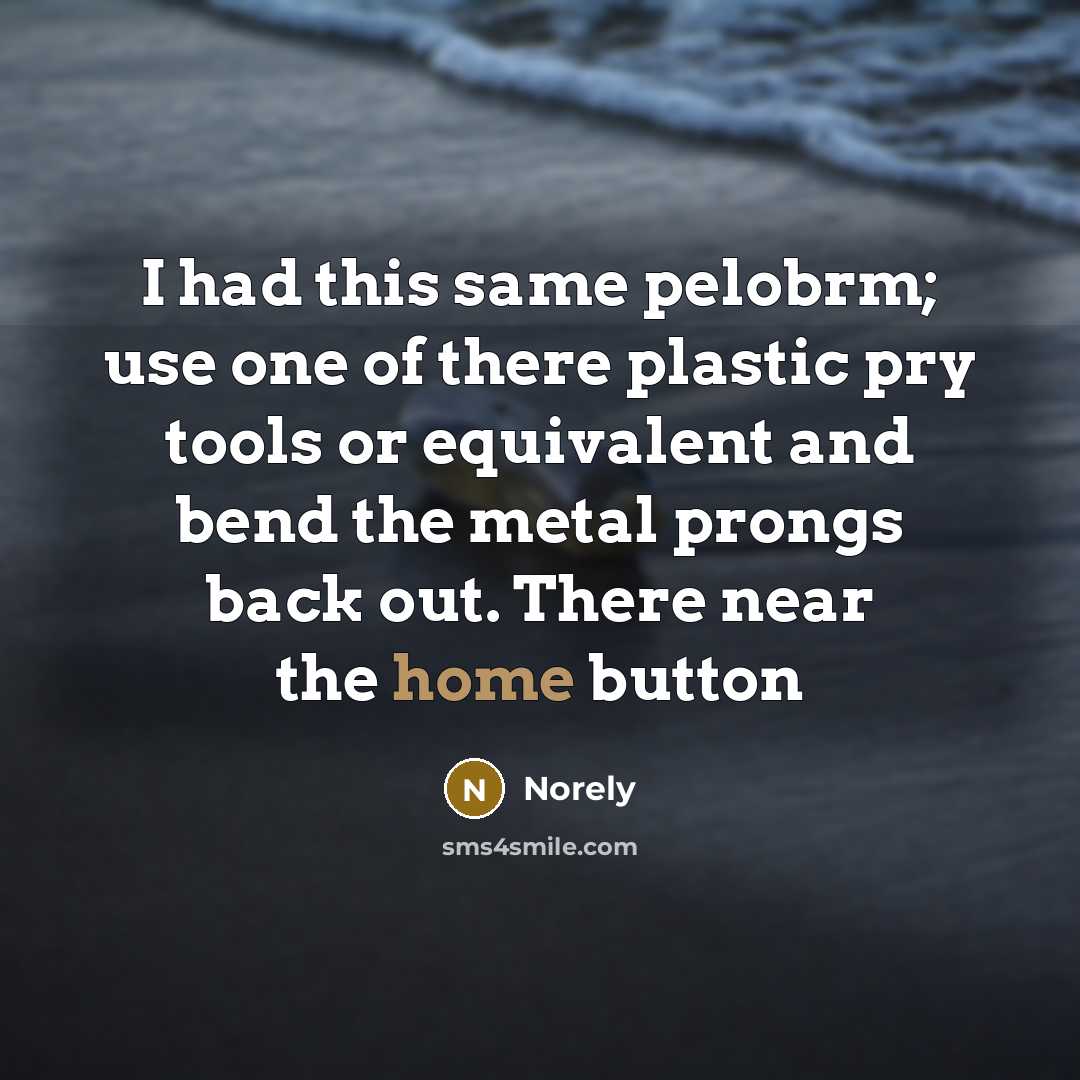 “I had this same pelobrm; use one of there plastic pry tools or equivalent and bend the metal prongs back out. There near the home button” quote by Norely