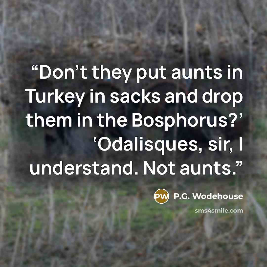 “Don’t they put aunts in Turkey in sacks and drop them in the Bosphorus?’ ‘Odalisques, sir, I understand. Not aunts.” quote by P.G. Wodehouse