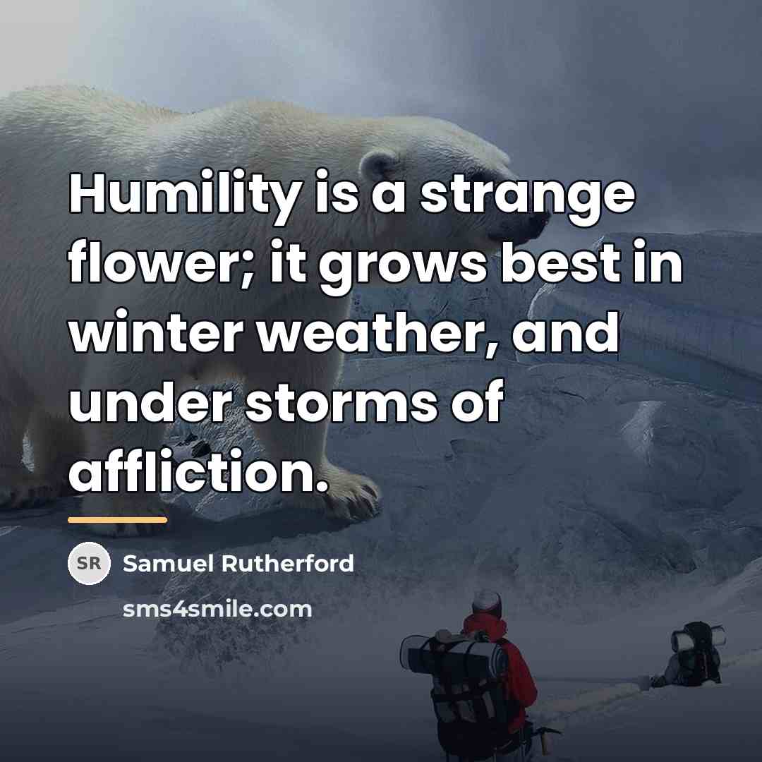 “Humility is a strange flower; it grows best in winter…” quote by Samuel Rutherford
