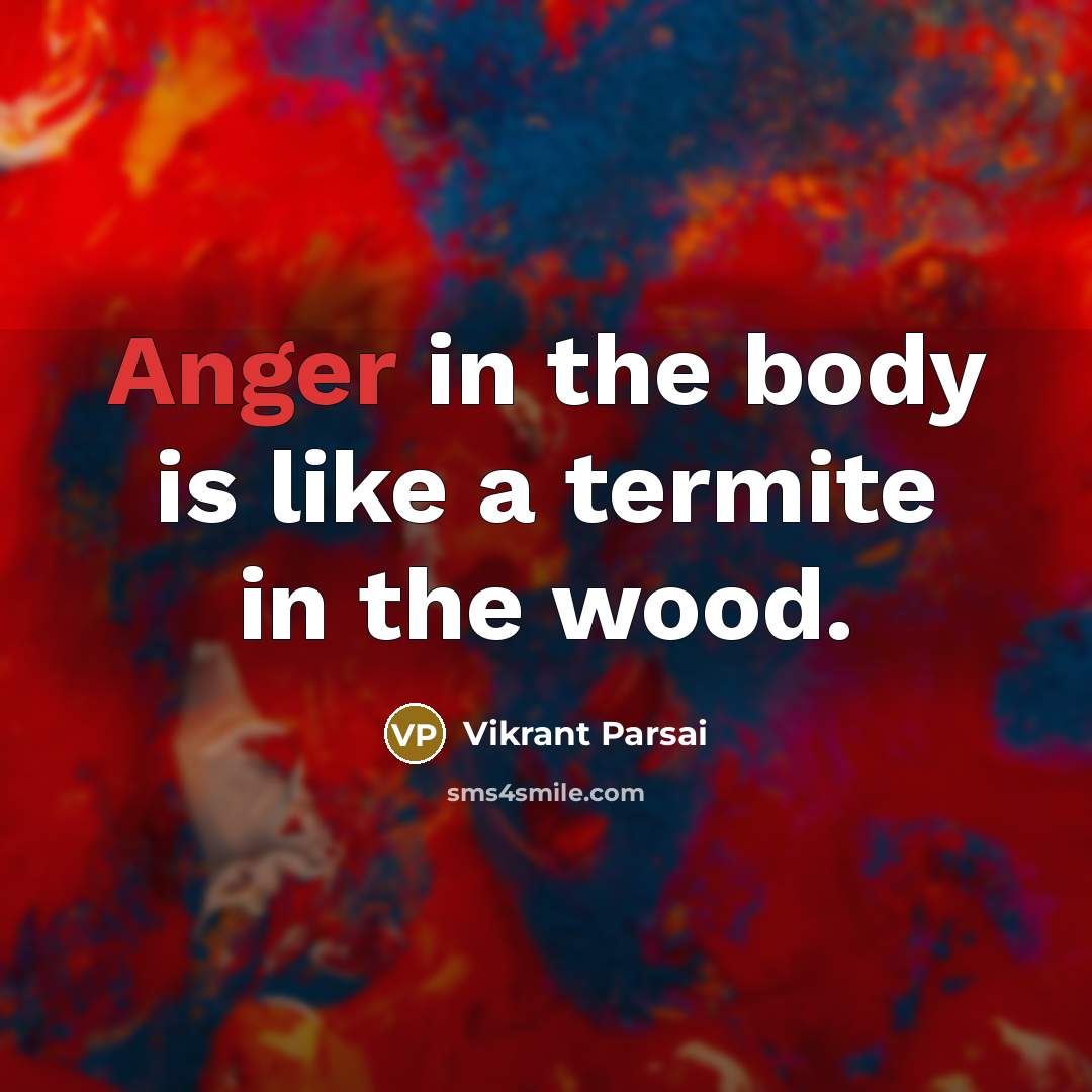 “Anger in the body is like a termite in the…” quote by Vikrant Parsai