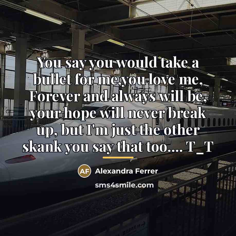 “You say you would take a bullet for me,you love…” quote by Alexandra Ferrer