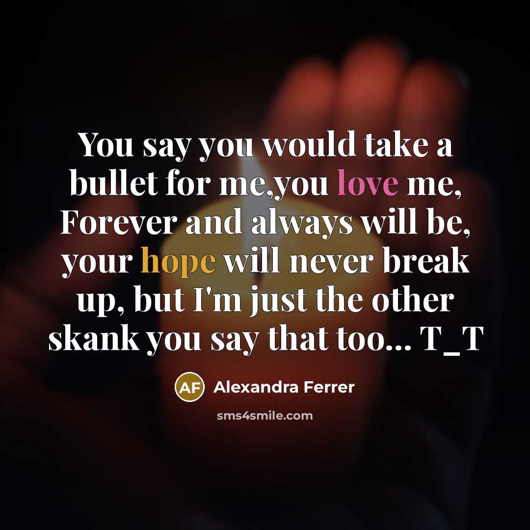“You say you would take a bullet for me,you love me, Forever and always will be, your hope will never break up, but I'm just the other skank you say that too… T_T” quote by Alexandra Ferrer