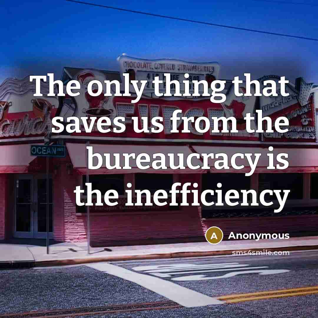 “The only thing that saves us from the bureaucracy is the inefficiency” quote by Anonymous