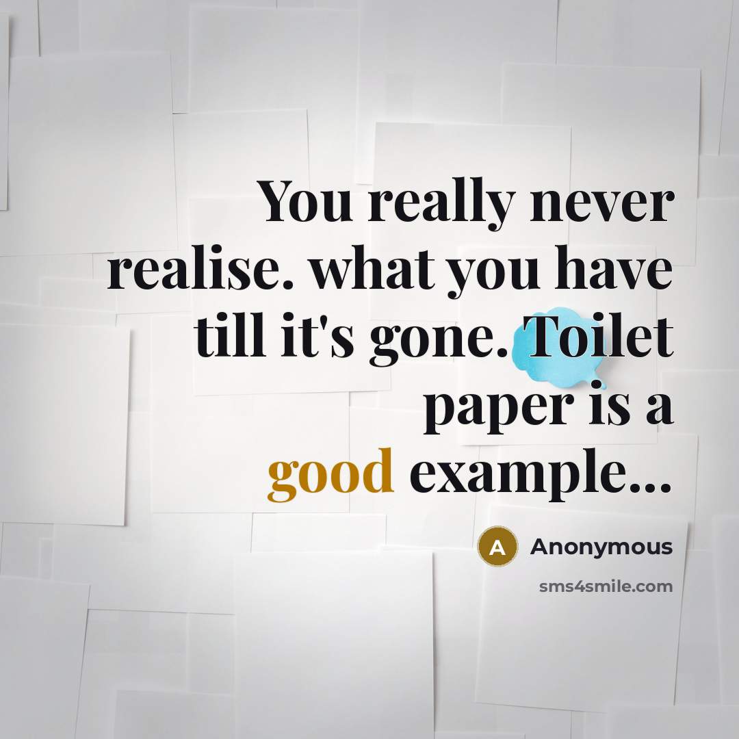 “You really never realise. what you have till it's gone. Toilet paper is a good example...” quote by Anonymous