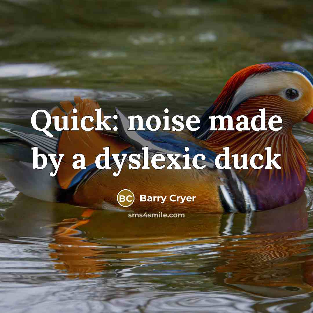 “Quick: noise made by a dyslexic duck” quote by Barry Cryer