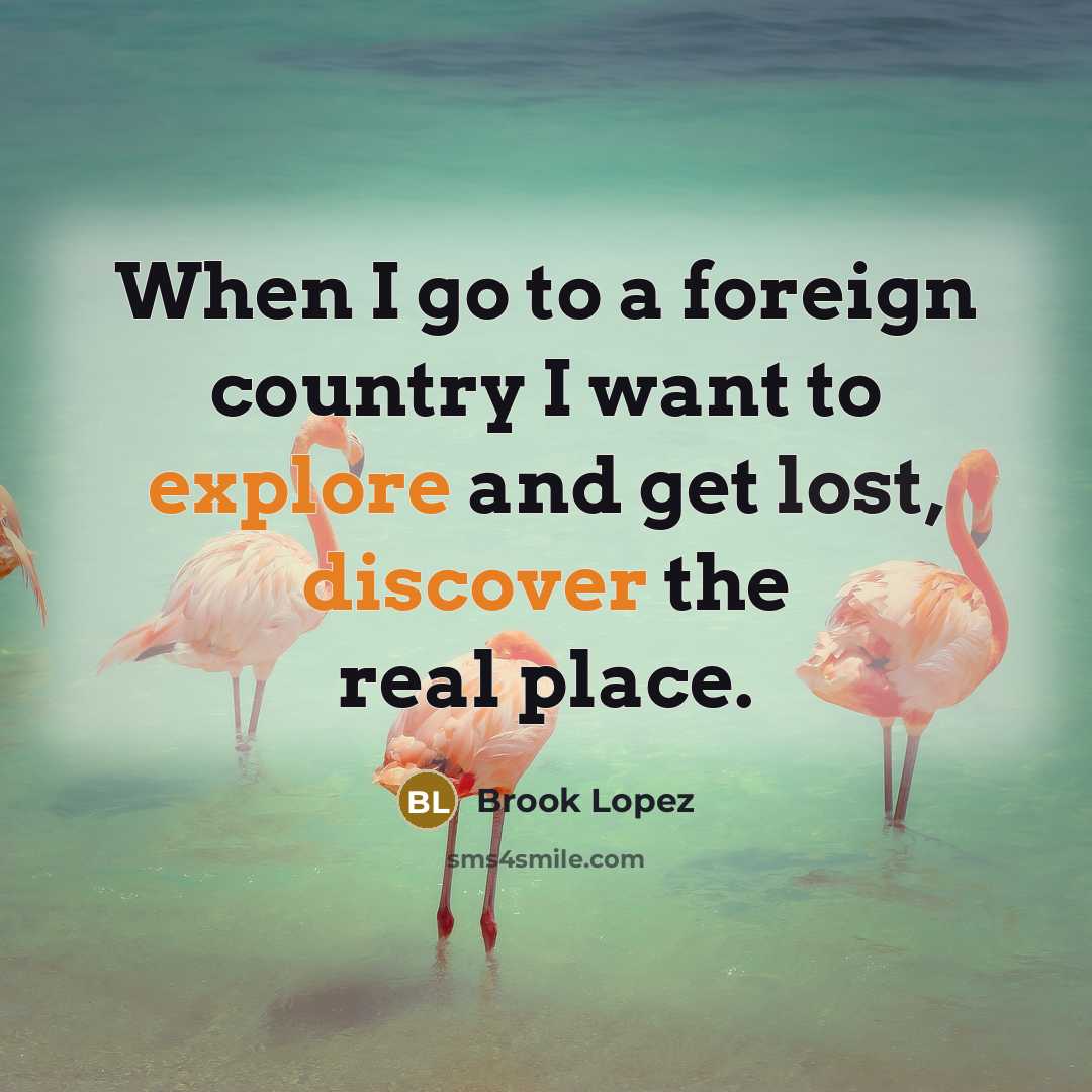 “When I go to a foreign country I want to…” quote by Brook Lopez