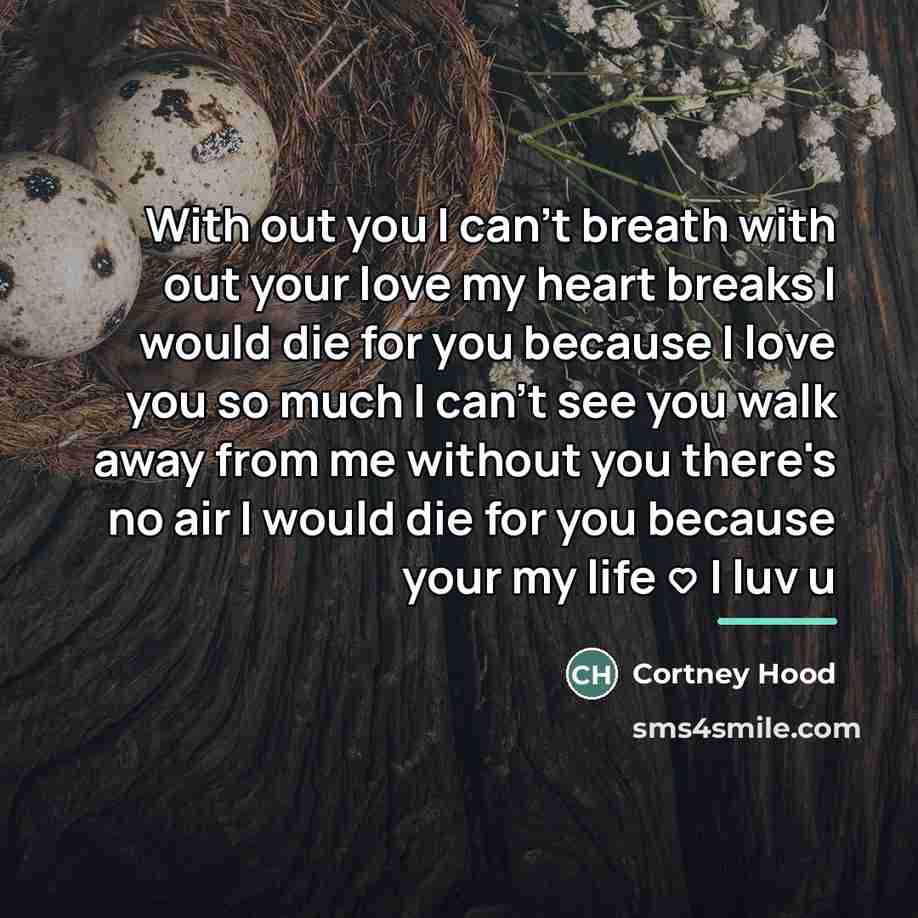 “With out you I can't breath with out your love…” quote by Anonymous