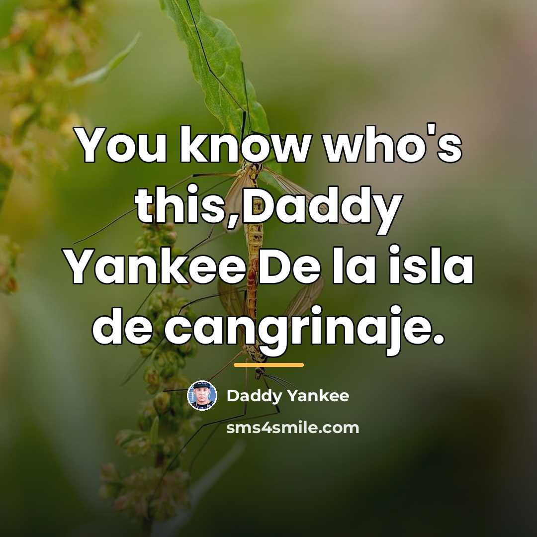 “You know who's this,Daddy Yankee De la isla de cangrinaje.…” quote by Daddy Yankee