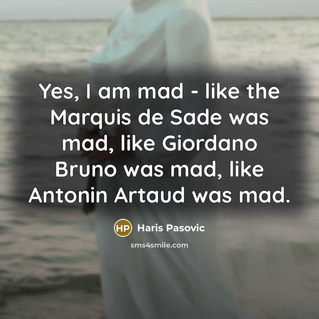 “Yes, I am mad - like the Marquis de Sade…” quote by Haris Pasovic