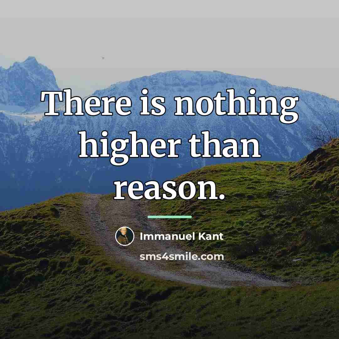 “There is nothing higher than reason.…” quote by Immanuel Kant