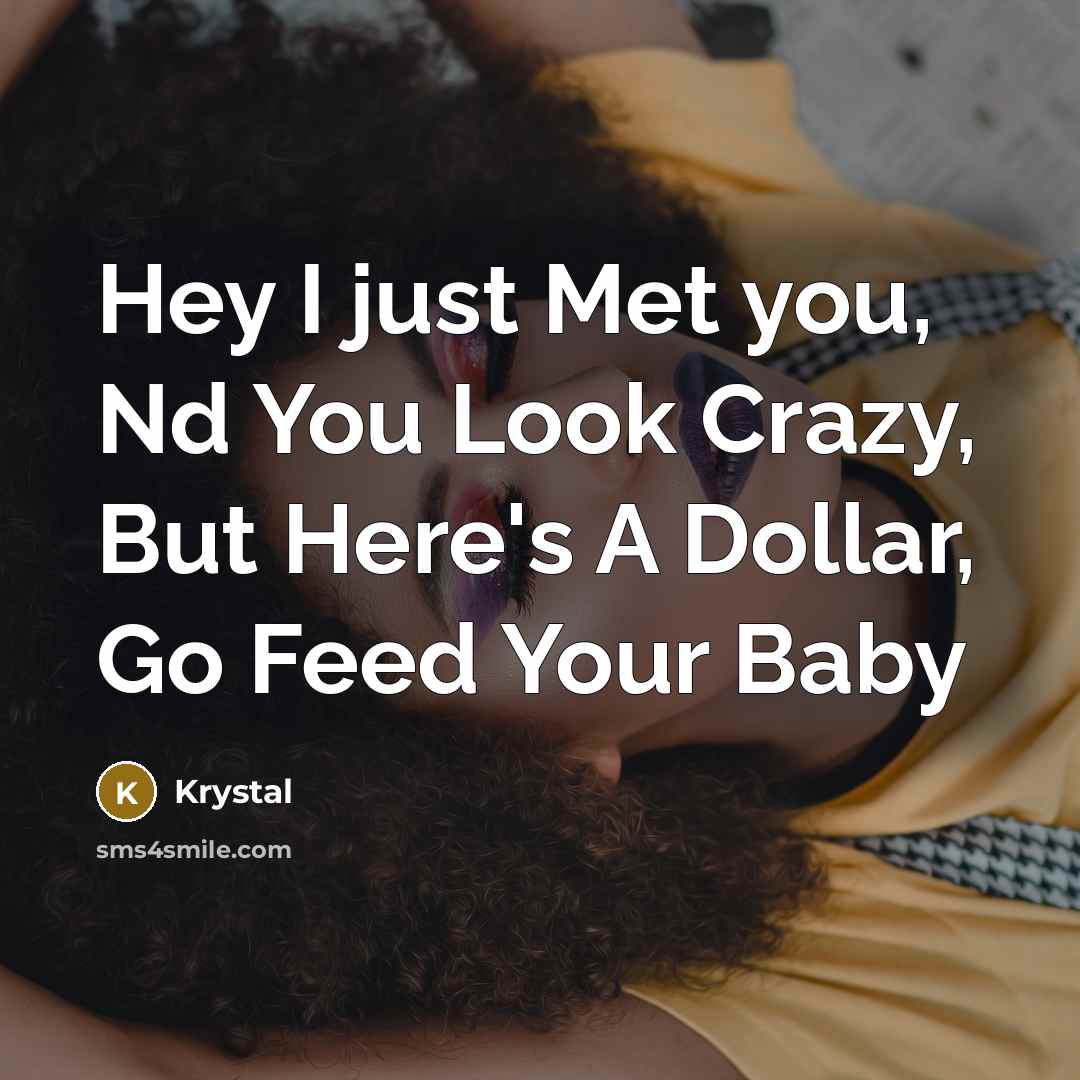 “Hey I just Met you, Nd You Look Crazy, But Here's A Dollar, Go Feed Your Baby” quote by Krystal