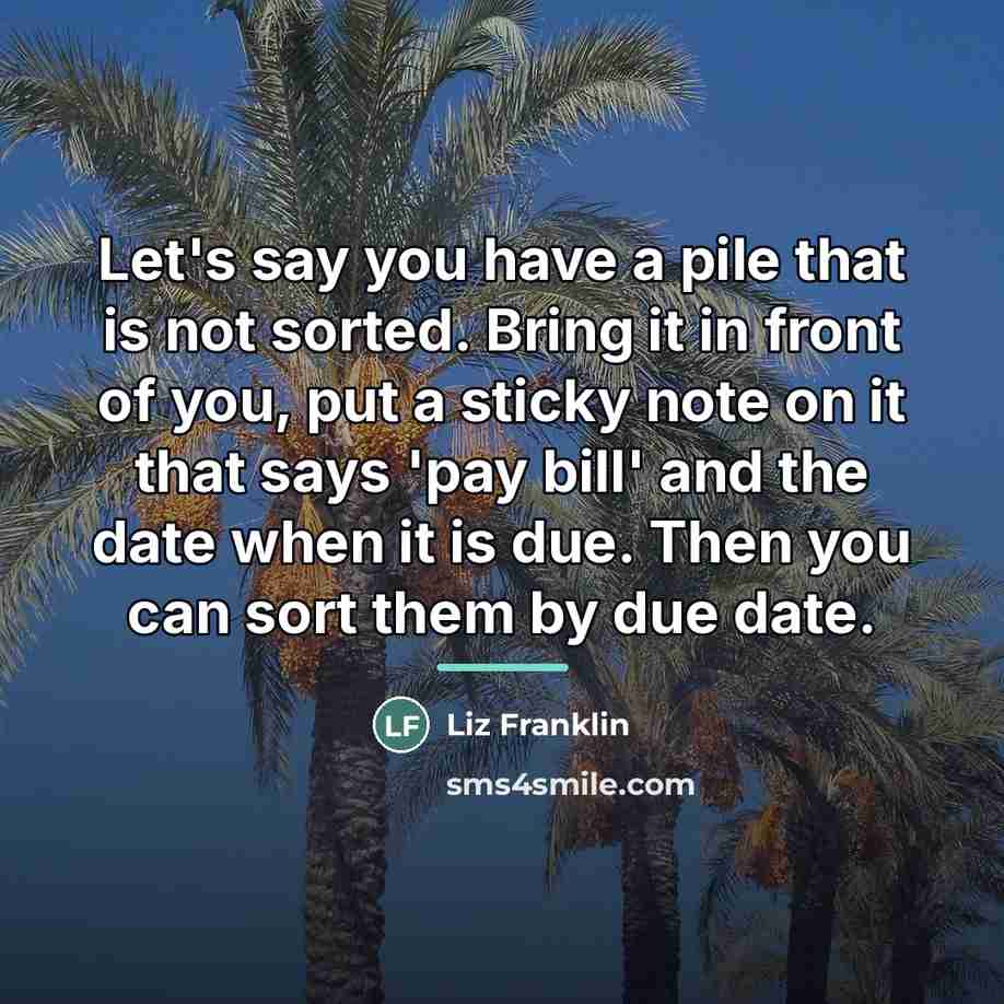 “Let's say you have a pile that is not sorted.…” quote by Liz Franklin
