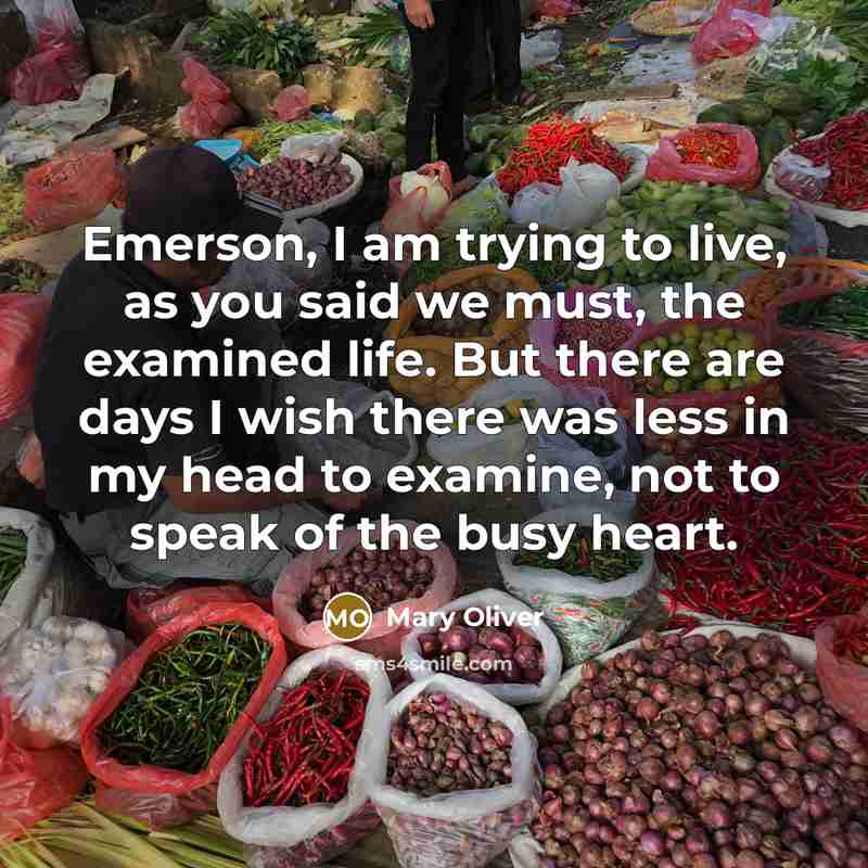 “Emerson, I am trying to live, as you said we…” quote by Mary Oliver