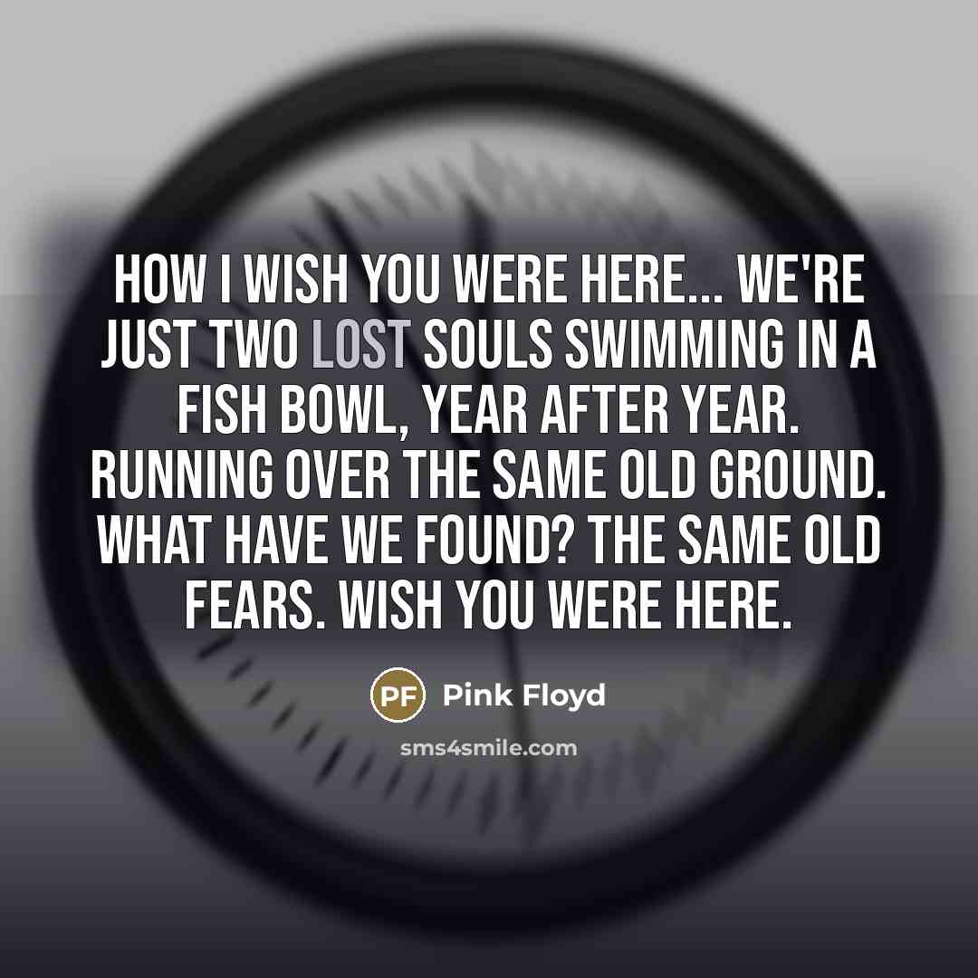 “How I wish you were here... We're just two lost…” quote by Pink Floyd