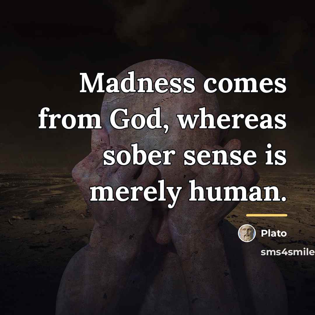 “Madness comes from God, whereas sober sense is merely human.…” quote by Plato