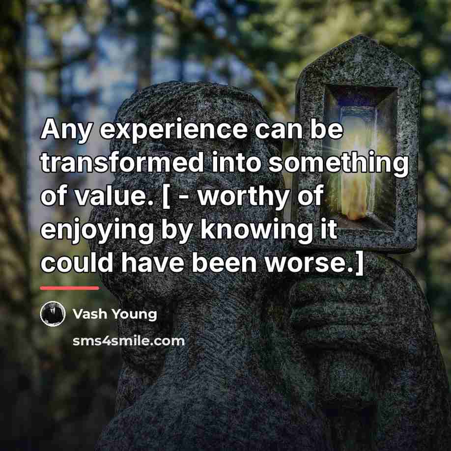 “Any experience can be transformed into something of value. […” quote by Vash Young