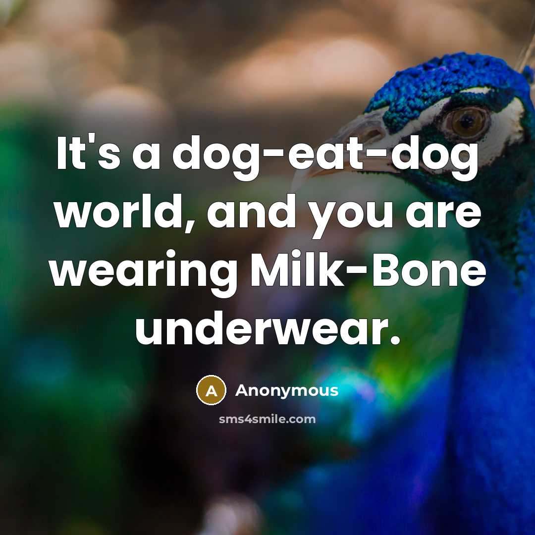 “It's a dog-eat-dog world, and you are wearing Milk-Bone underwear.” quote by Anonymous