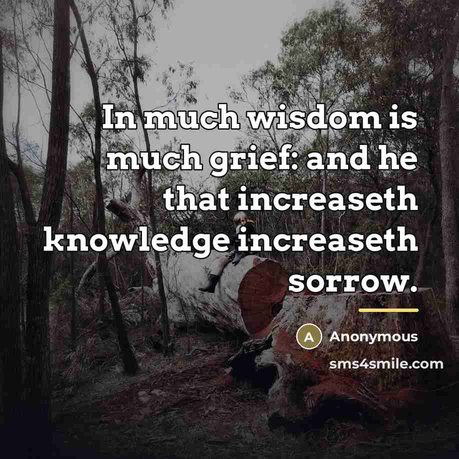 “In much wisdom is much grief: and he that increaseth…” quote by Anonymous