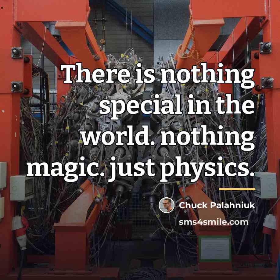 “There is nothing special in the world. nothing magic. just…” quote by Chuck Palahniuk