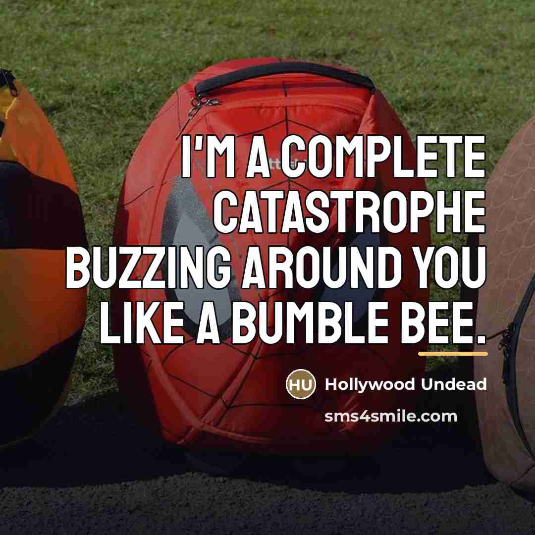 “I'm a complete catastrophe buzzing around you like a bumble…” quote by Hollywood Undead