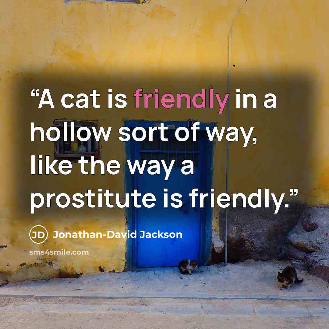 “A cat is friendly in a hollow sort of way, like the way a prostitute is friendly.” quote by Jonathan-David Jackson