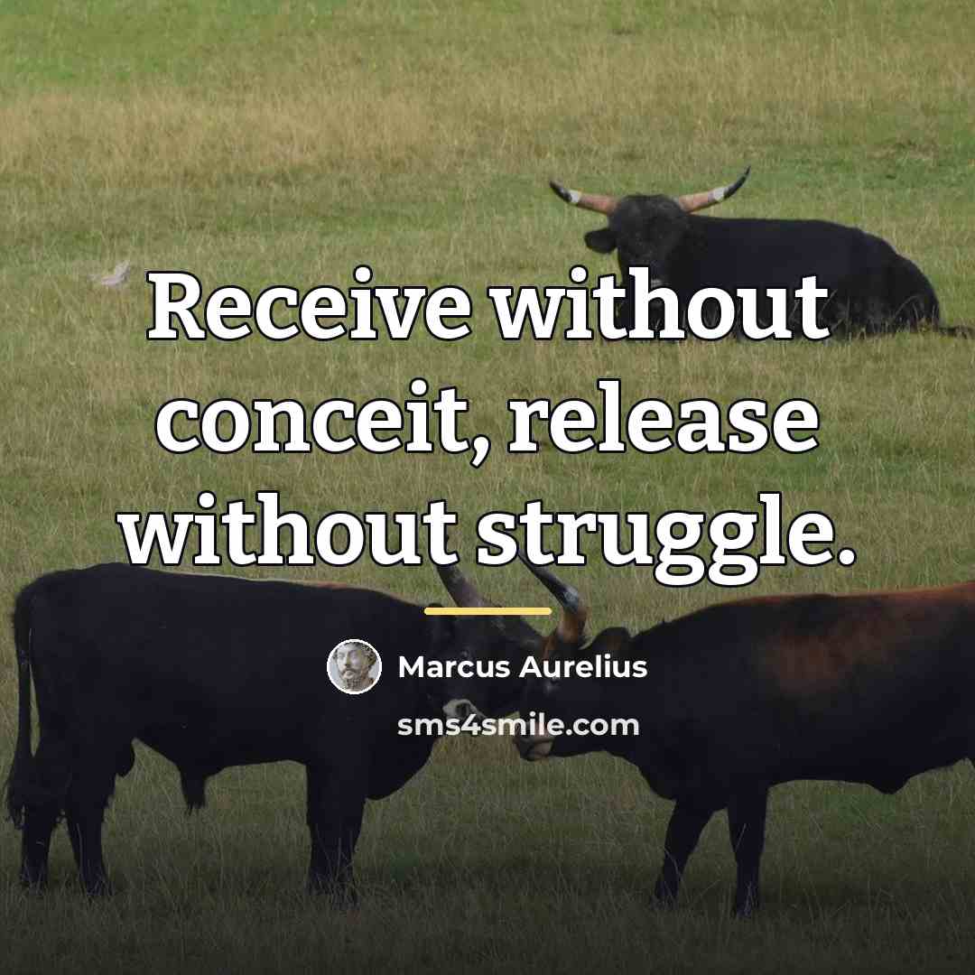 “Receive without conceit, release without struggle.…” quote by Marcus Aurelius
