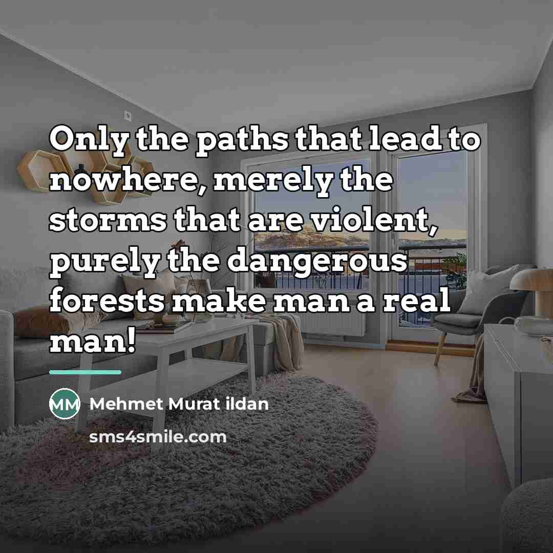 “Only the paths that lead to nowhere, merely the storms…” quote by Mehmet Murat Ildan