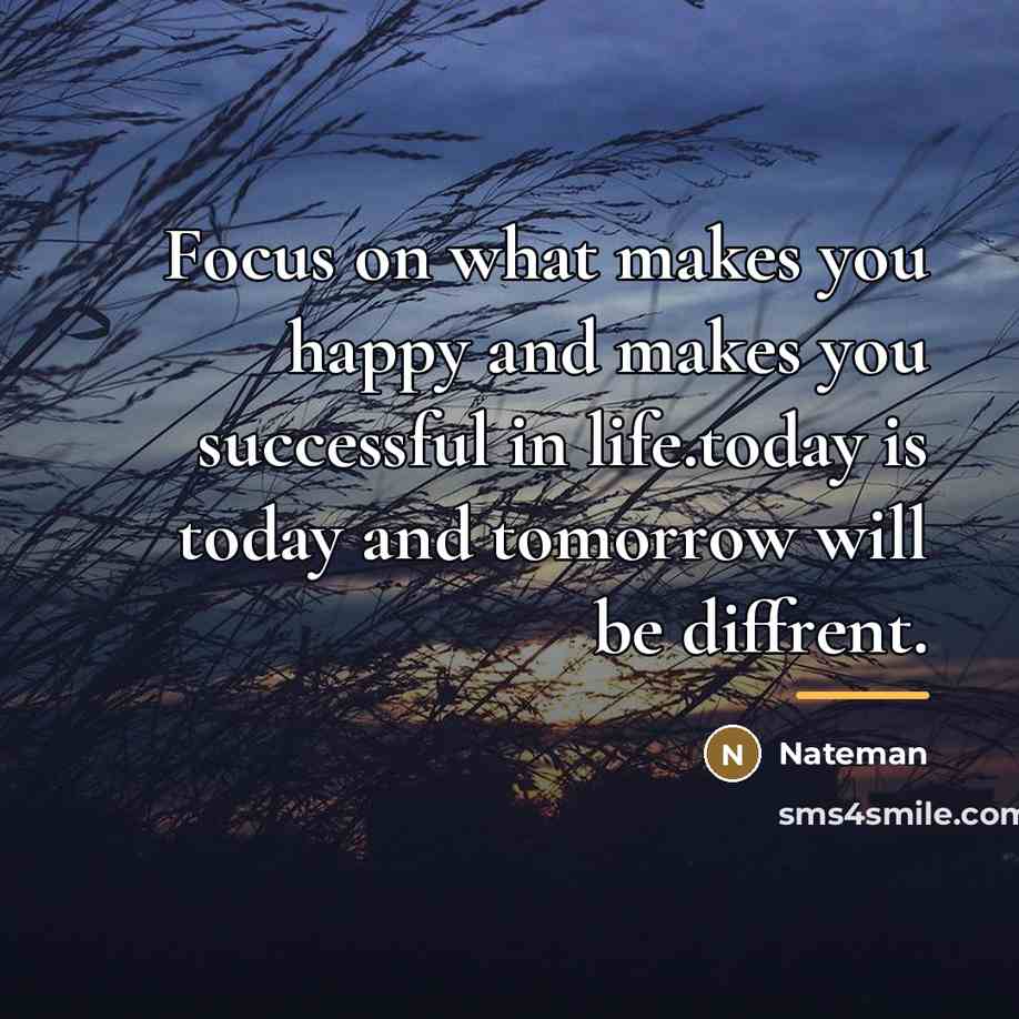 “Focus on what makes you happy and makes you successful…” quote by Nateman