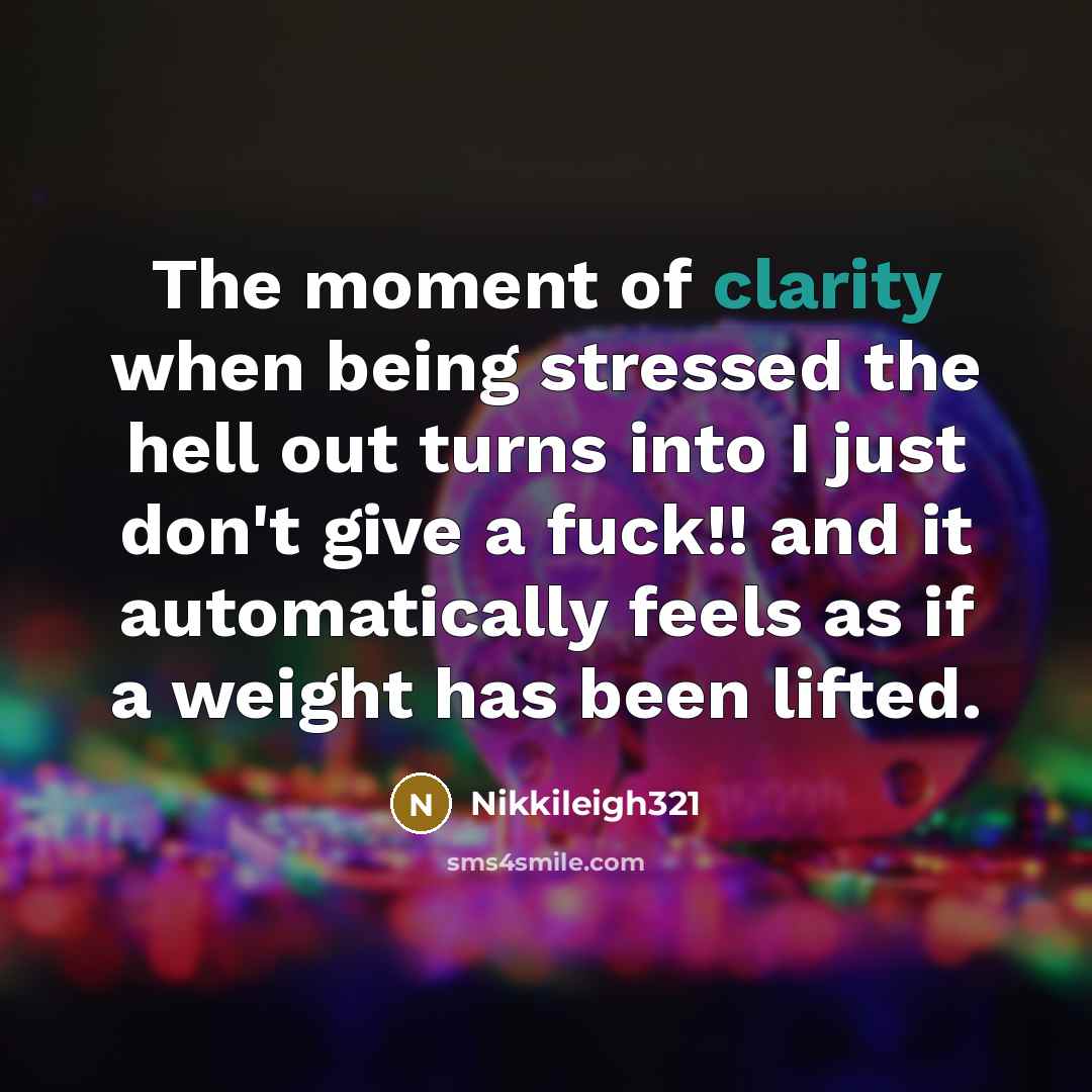 “The moment of clarity when being stressed the hell out…” quote by Nikkileigh321