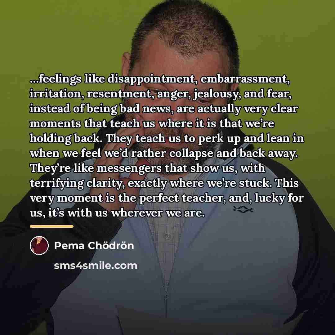 “feelings like disappointment, embarrassment, irritation, resentment, anger, jealousy, and fear,…” quote by Pema Chodron