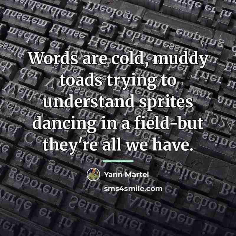“Words are cold, muddy toads trying to understand sprites dancing…” quote by Yann Martel