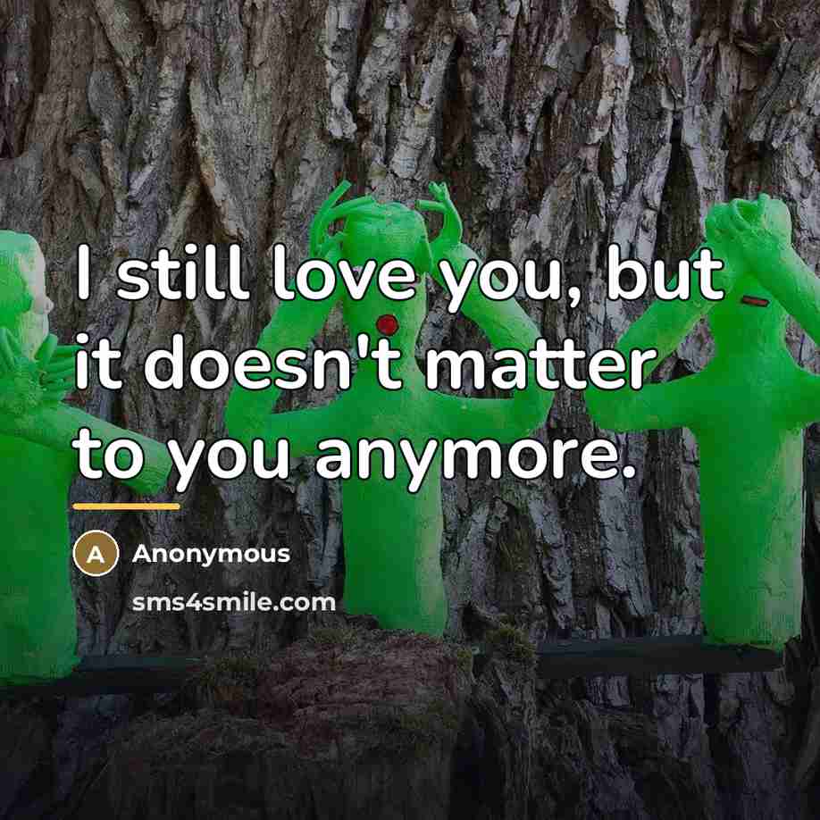 “I still love you, but it doesn't matter to you…” quote by Anonymous