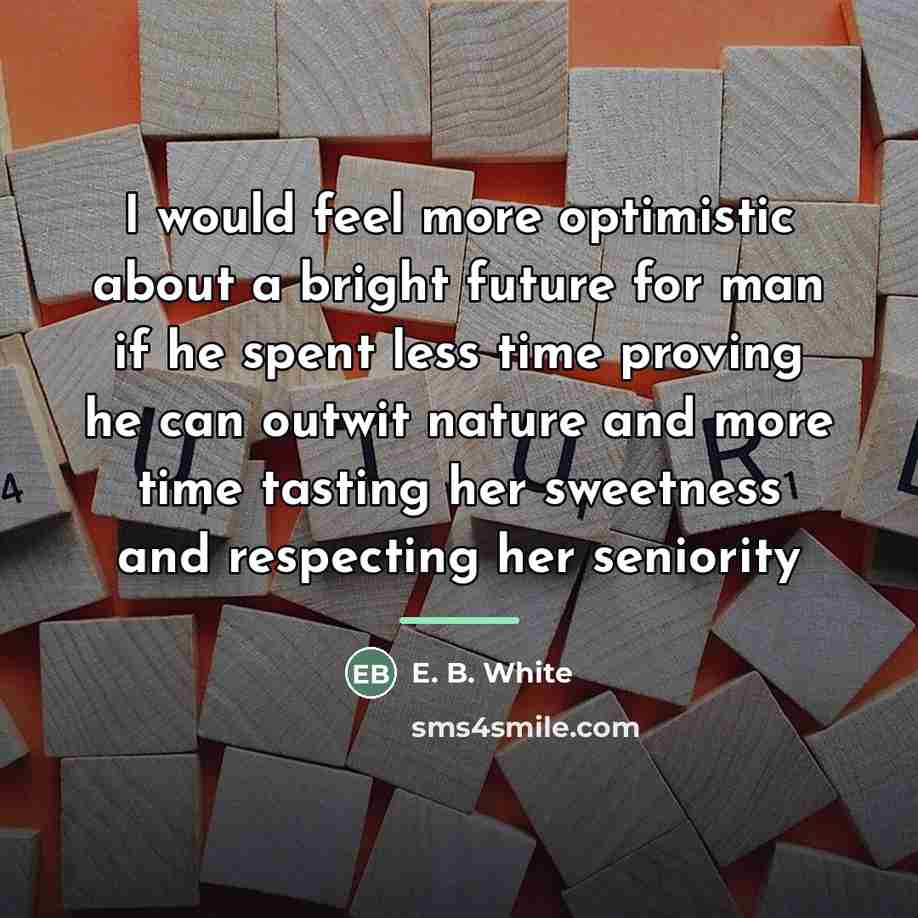 “I would feel more optimistic about a bright future for…” quote by E. B. White