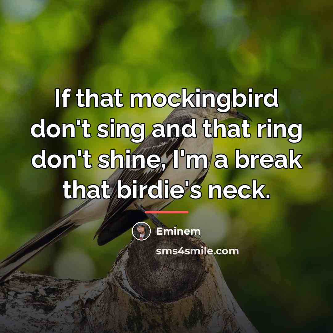 “If that mockingbird don't sing and that ring don't shine,…” quote by Eminem