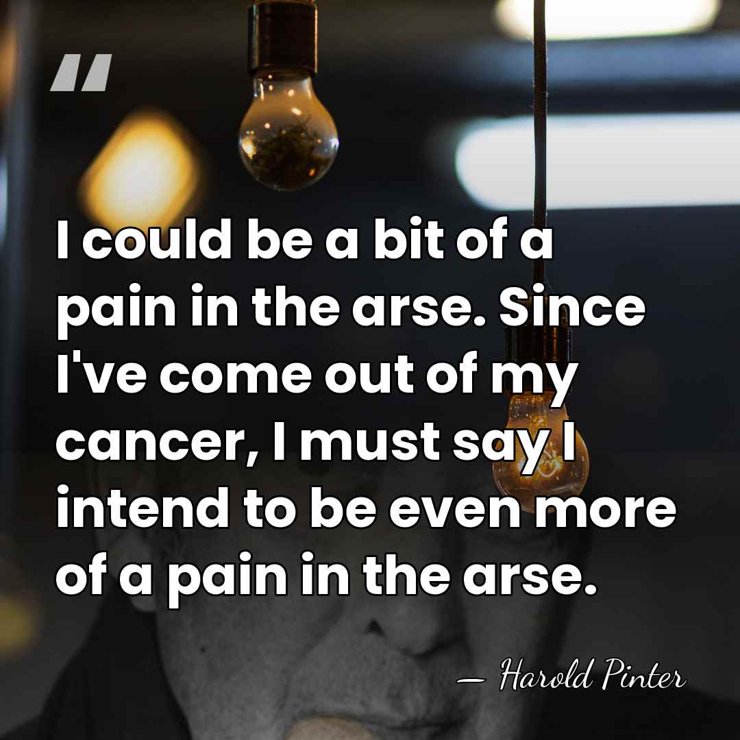 I could be a bit of a pain in the arse. Since&hellip; - Harold Pinter