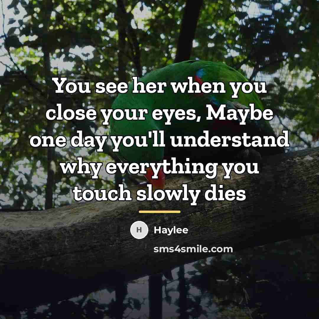 “You see her when you close your eyes, Maybe one…” quote by Haylee
